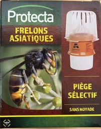 Piège frelons asiatiques