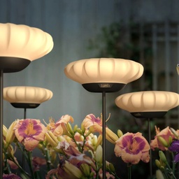 Lumix Solar Flowers Sunny — fleur solaire