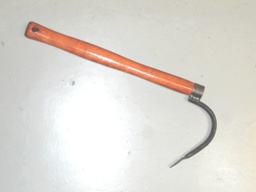 Désherbeur 1 dent long manche